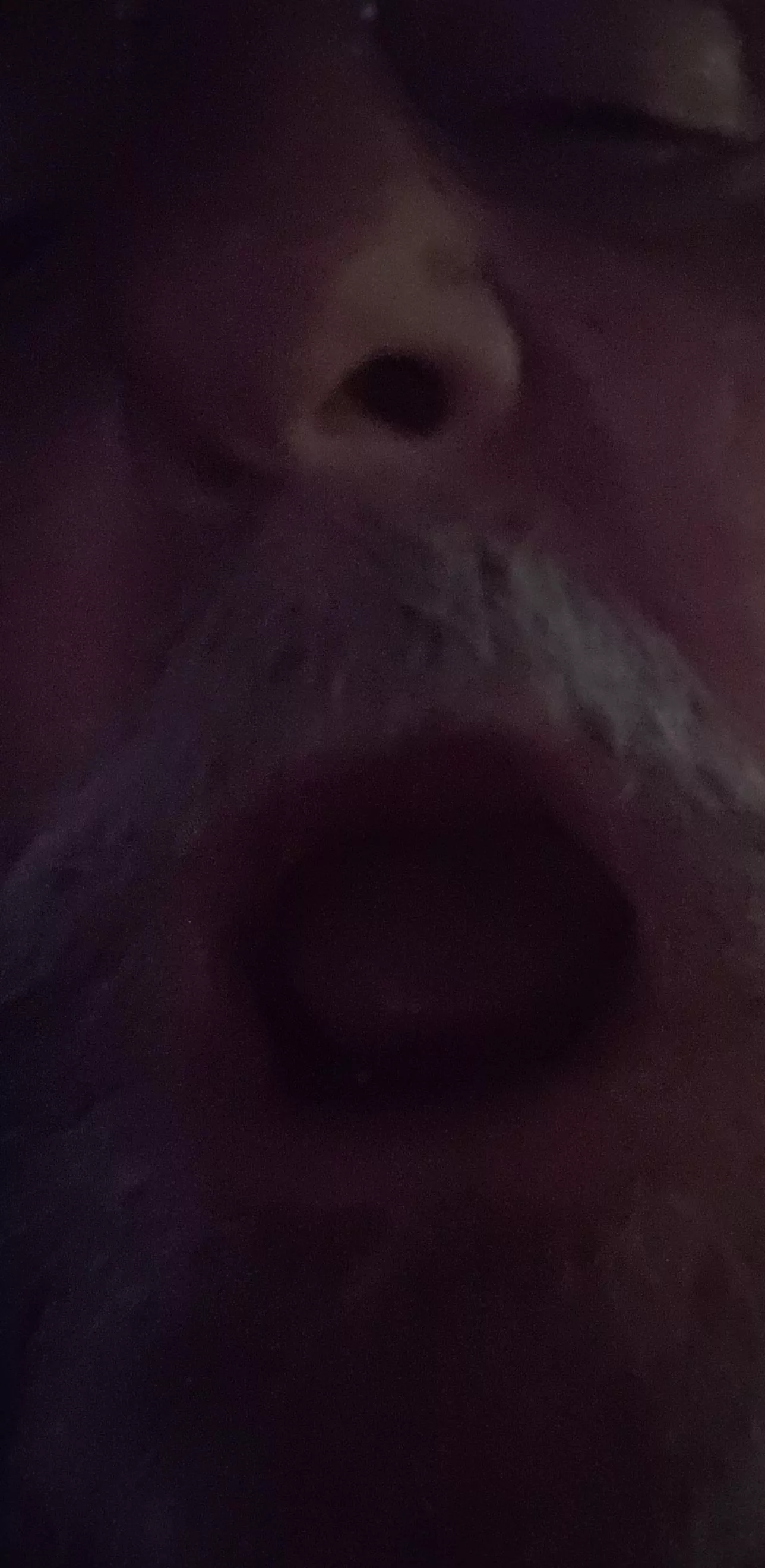 notice the lack of teeth