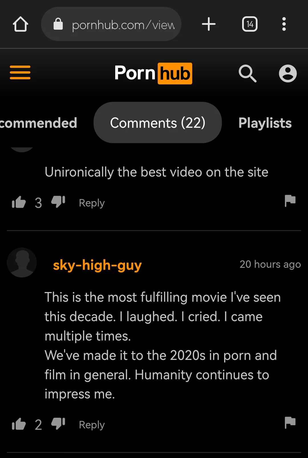 Porn critique