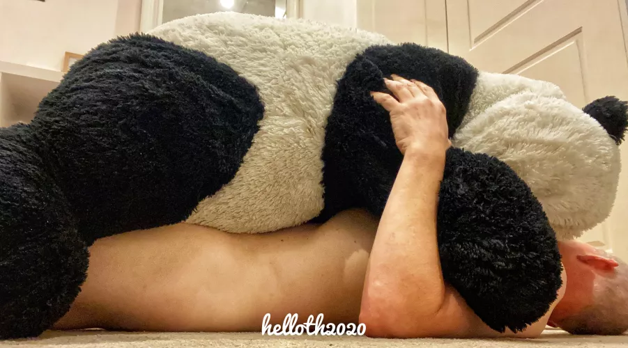 Sending big bear hugs to you all for Christmas