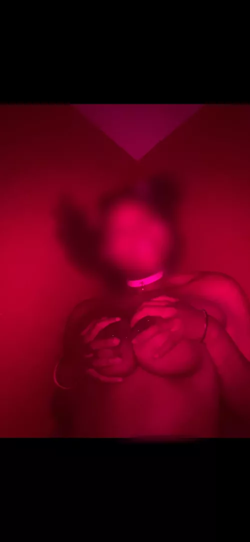 Such a happy girl in my collar