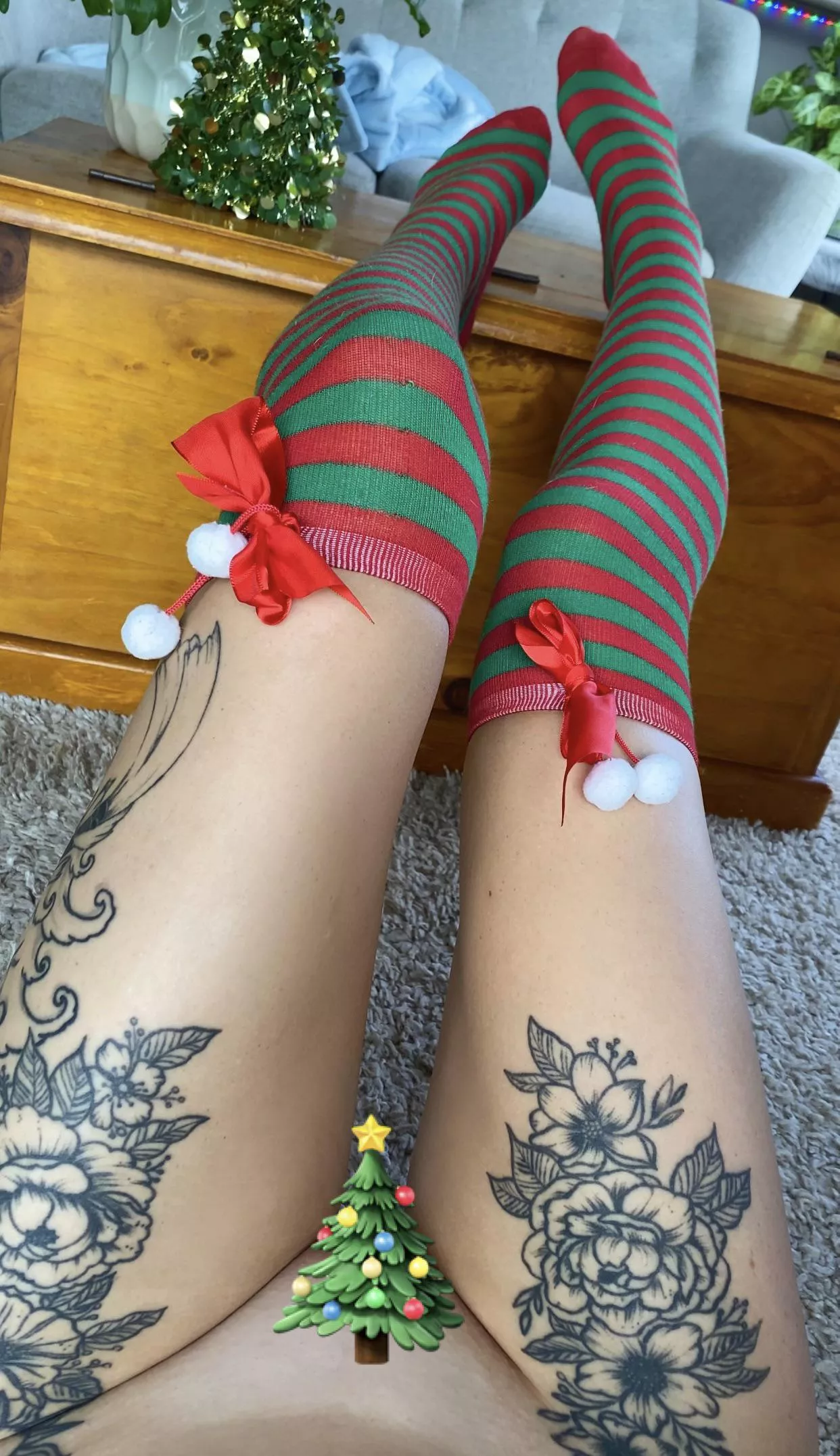 There’s something under the tree for you..