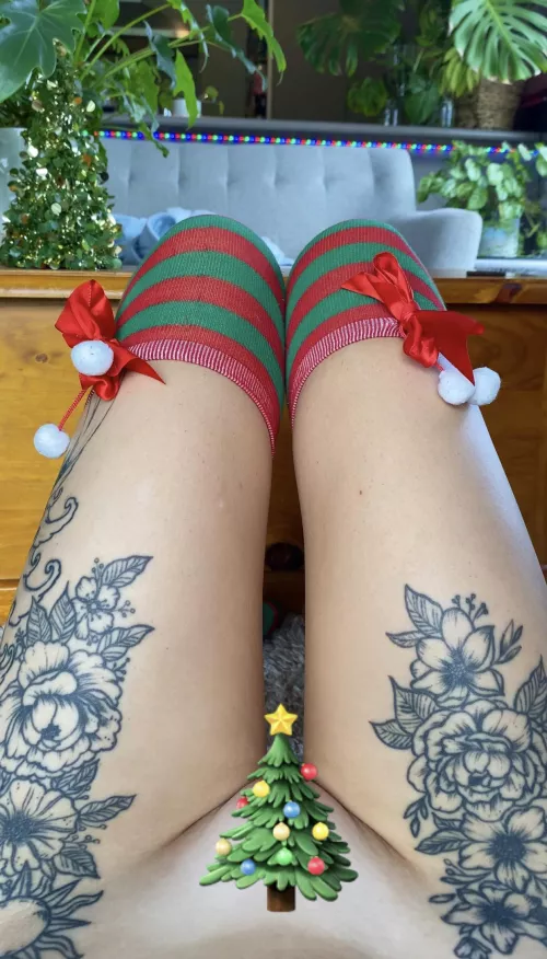 There’s something under the tree for you..