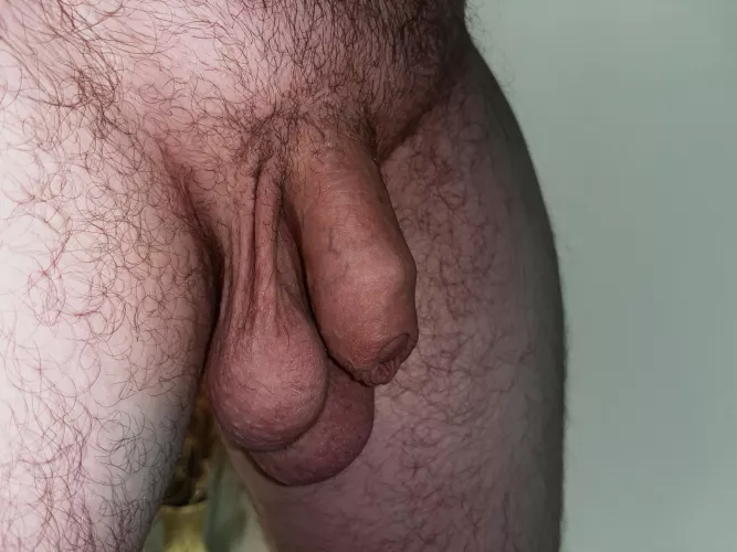 Wanna jingle my balls?