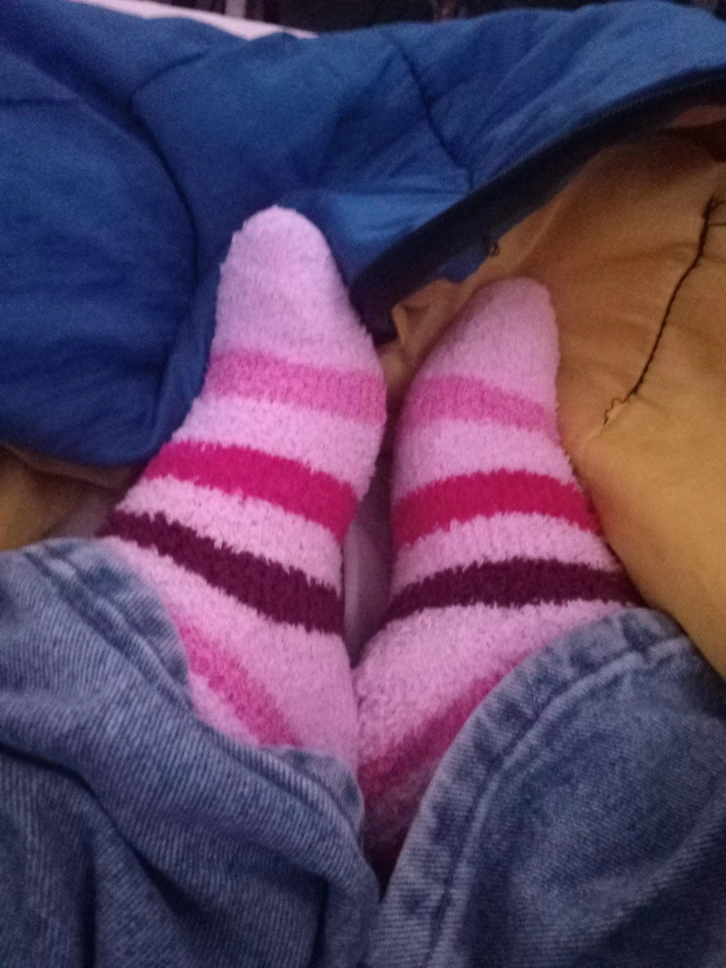 Went to a family Christmas celebration, these need some loving ;)