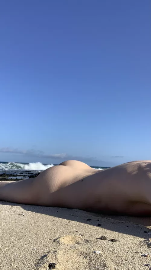 What would you do if you found a beached whale?