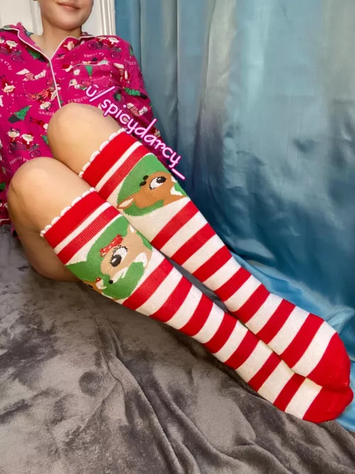 Xmas socks