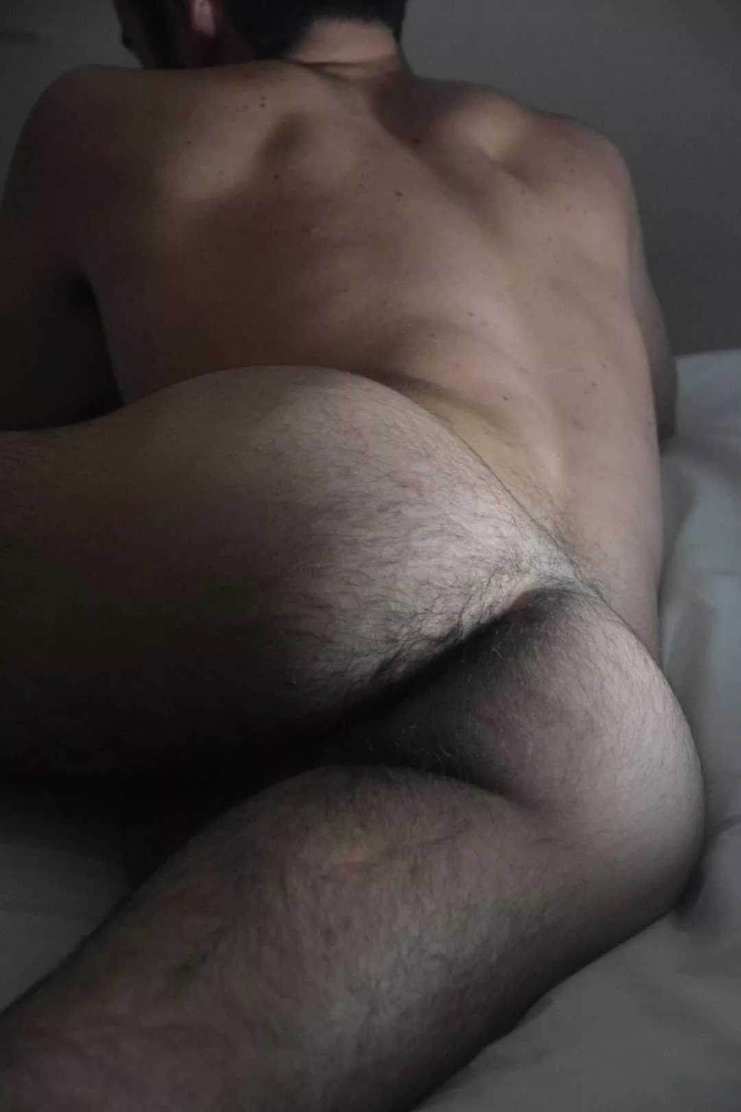 (22) who likes to eat hairy ass?