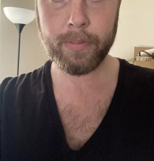 (27) I wear V-necks in the hope I catch guys looking