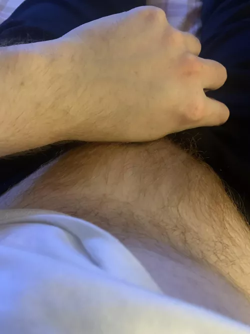 Bush coming in again