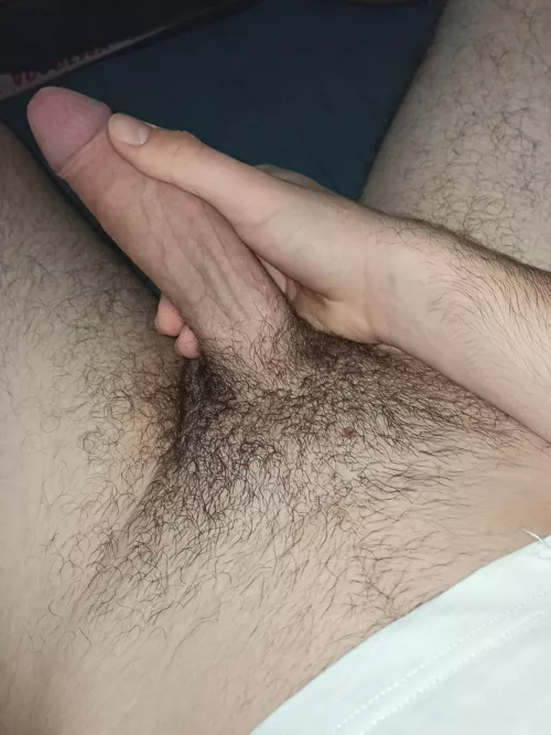 can anyone humiliate my dick?