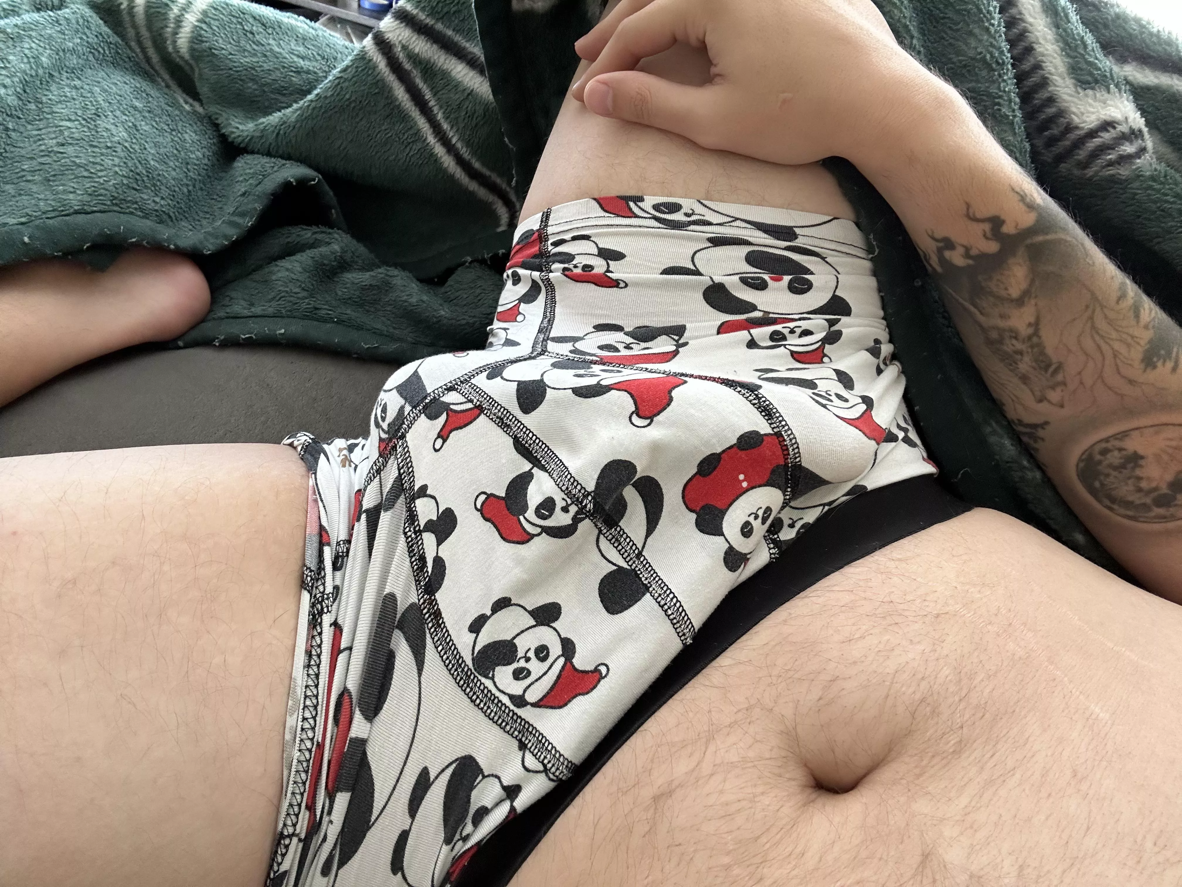 Christmas panda surprise