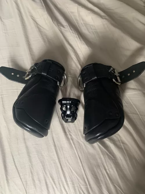 Clearly we need to add bondage mitts for your training