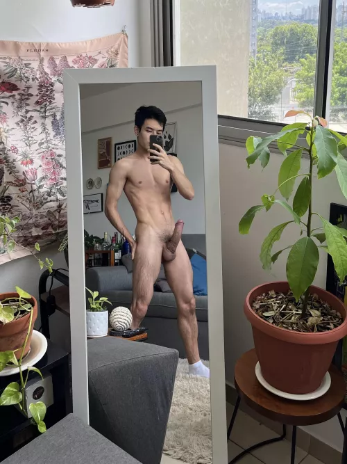 do you like my plants?