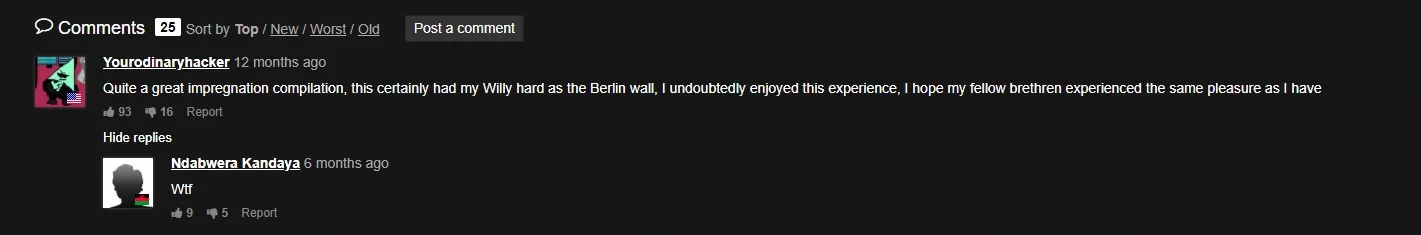 Found on Xvideos but same vibe