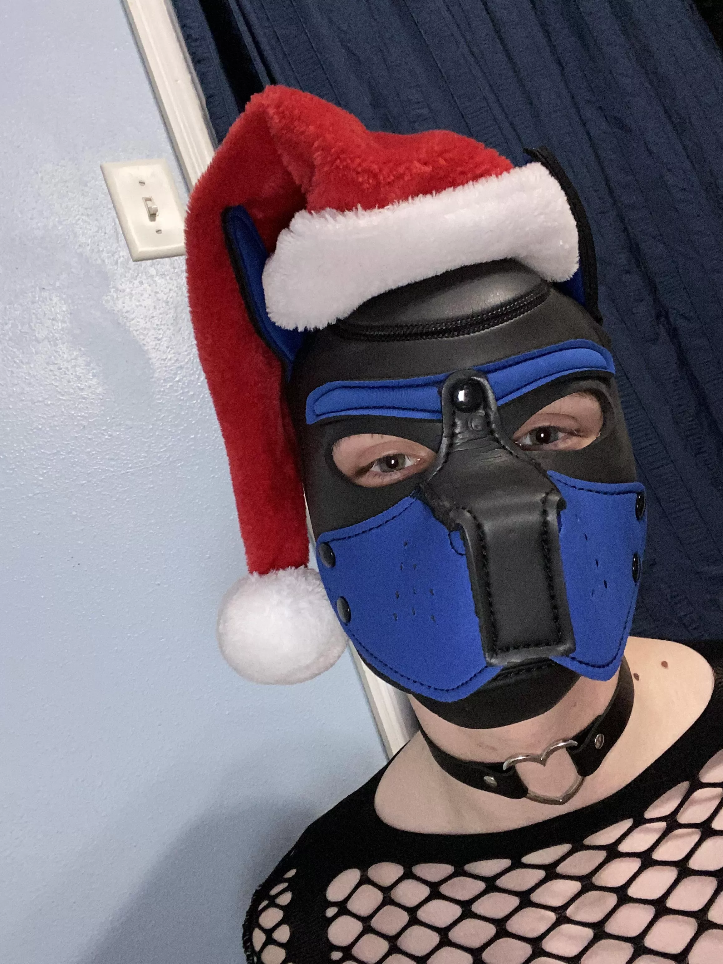 Happy Howlidays *lick*