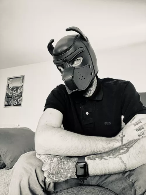 Have a good day 🐾