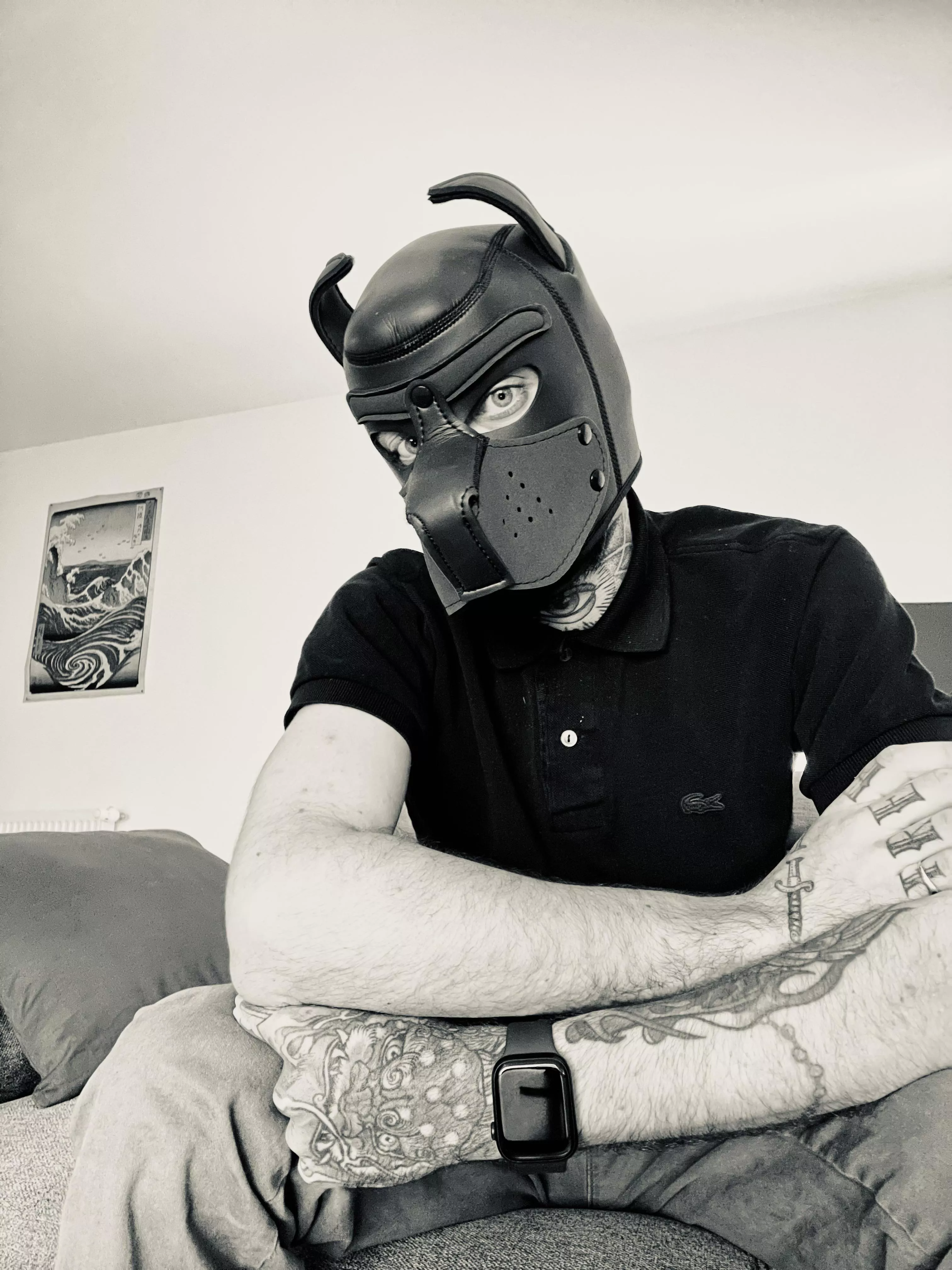 Have a good day 🐾