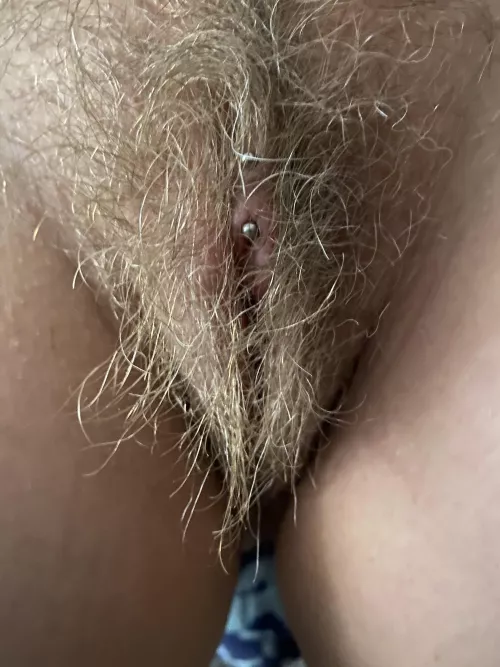 hope you like my bush!