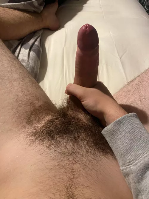 How does your Xmas ride look?