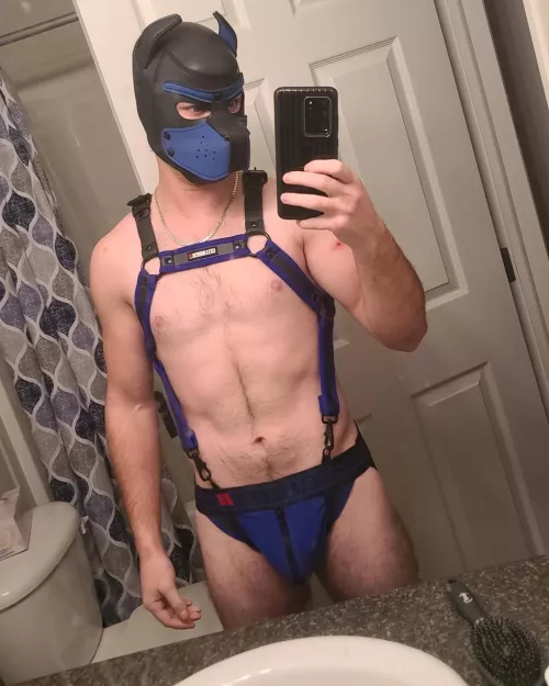 I am inlove with this harnnes 😍