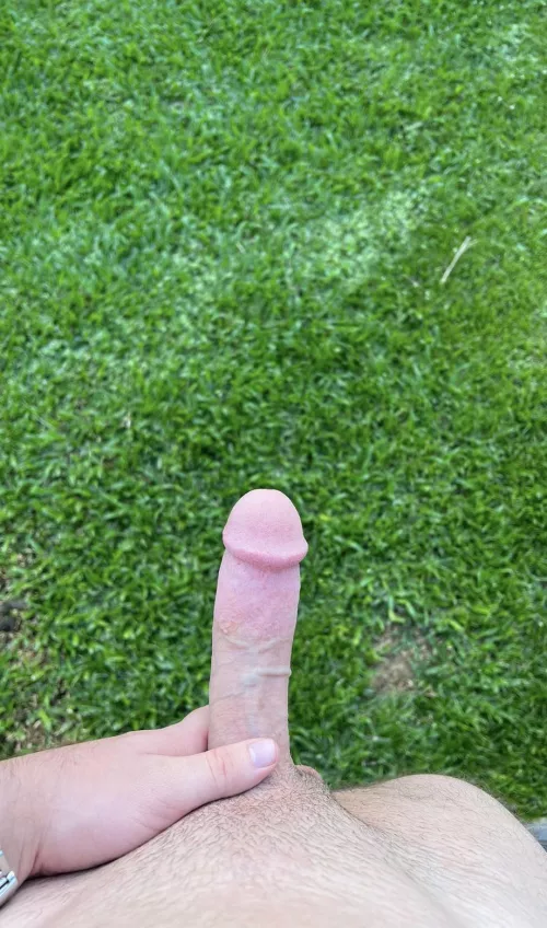 I love getting out my big dick in the yard (8”)