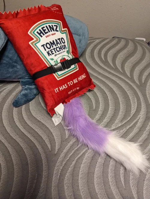 I put my tail on the K E T C H U P