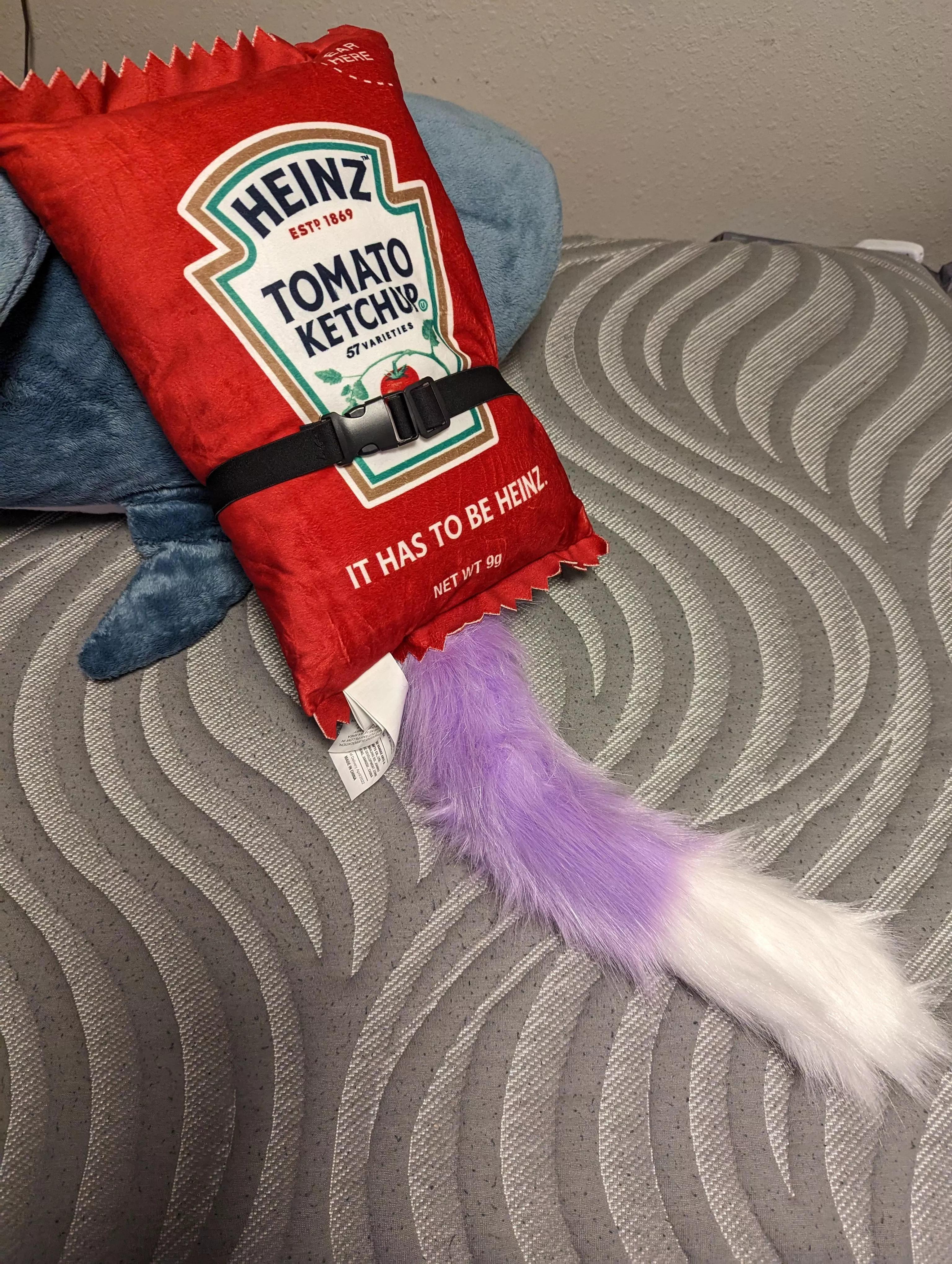 I put my tail on the K E T C H U P