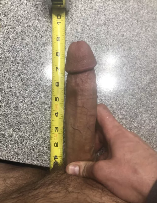 Just boredd emphasis on the D