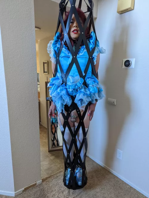 Just hanging out today! What are you up to?