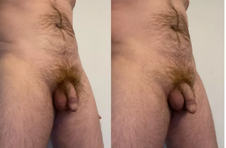 Just trimmed. Which do you prefer?