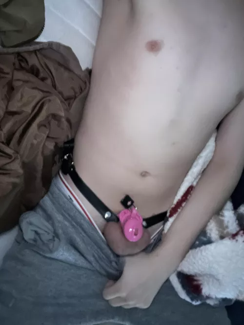 Look who wasn’t allowed to unlock for Xmas👀🔐😭(day10)