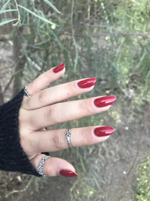 Merry Christmas 🎄❤️