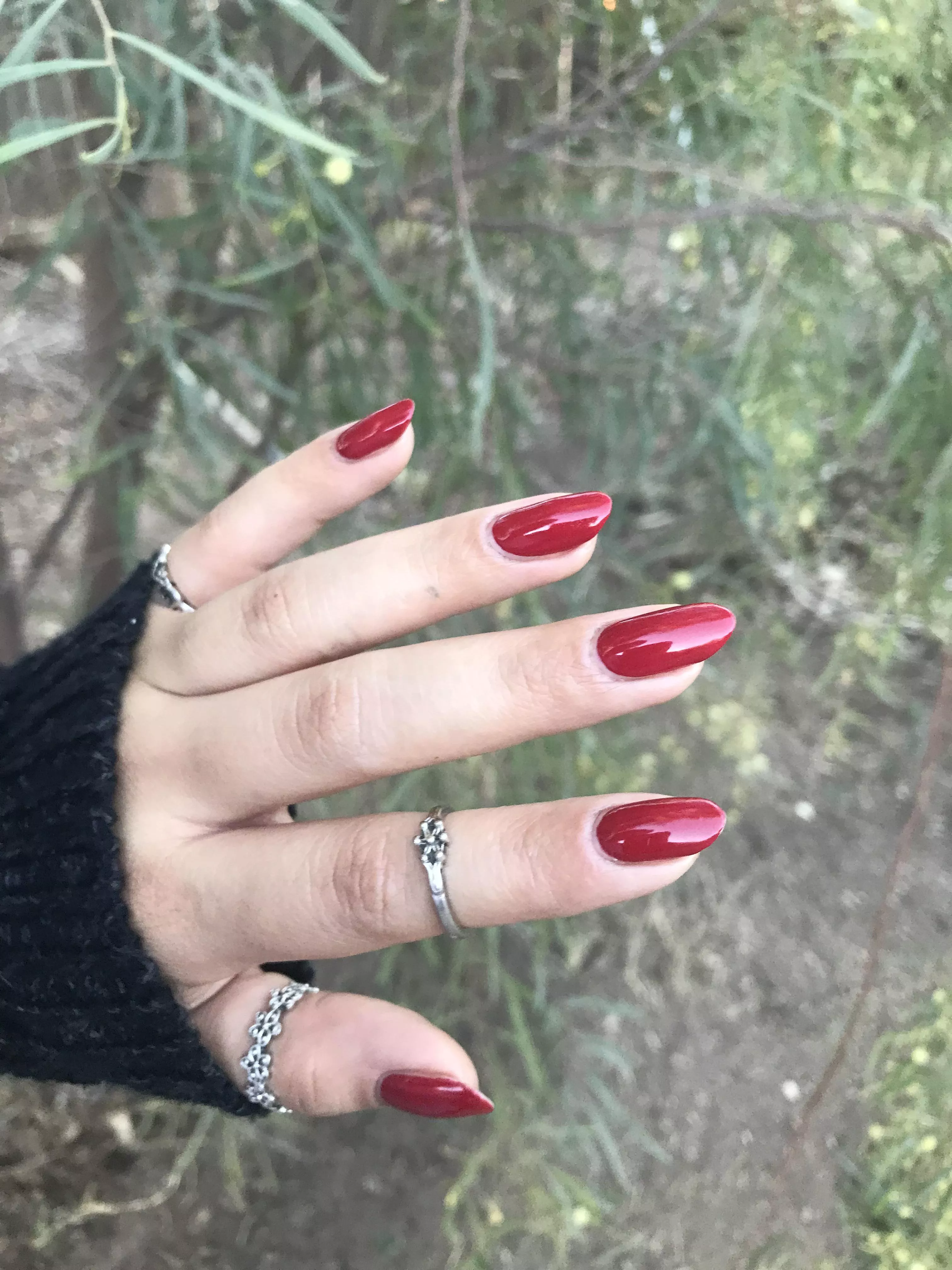 Merry Christmas 🎄❤️