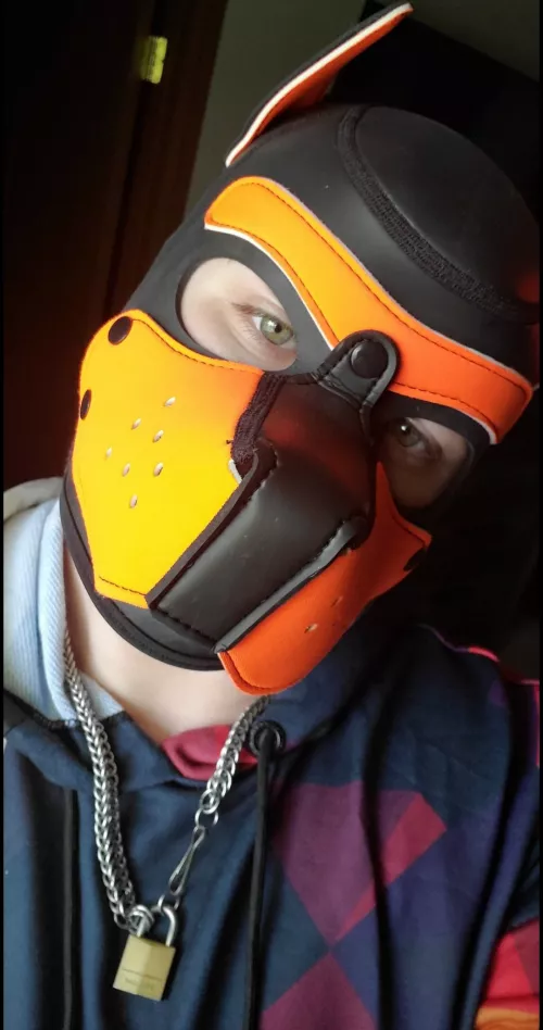 Merry Christmas, puppies!! Hope Santa Paws brought you everything you asked for and more! 🐾 Awroo!