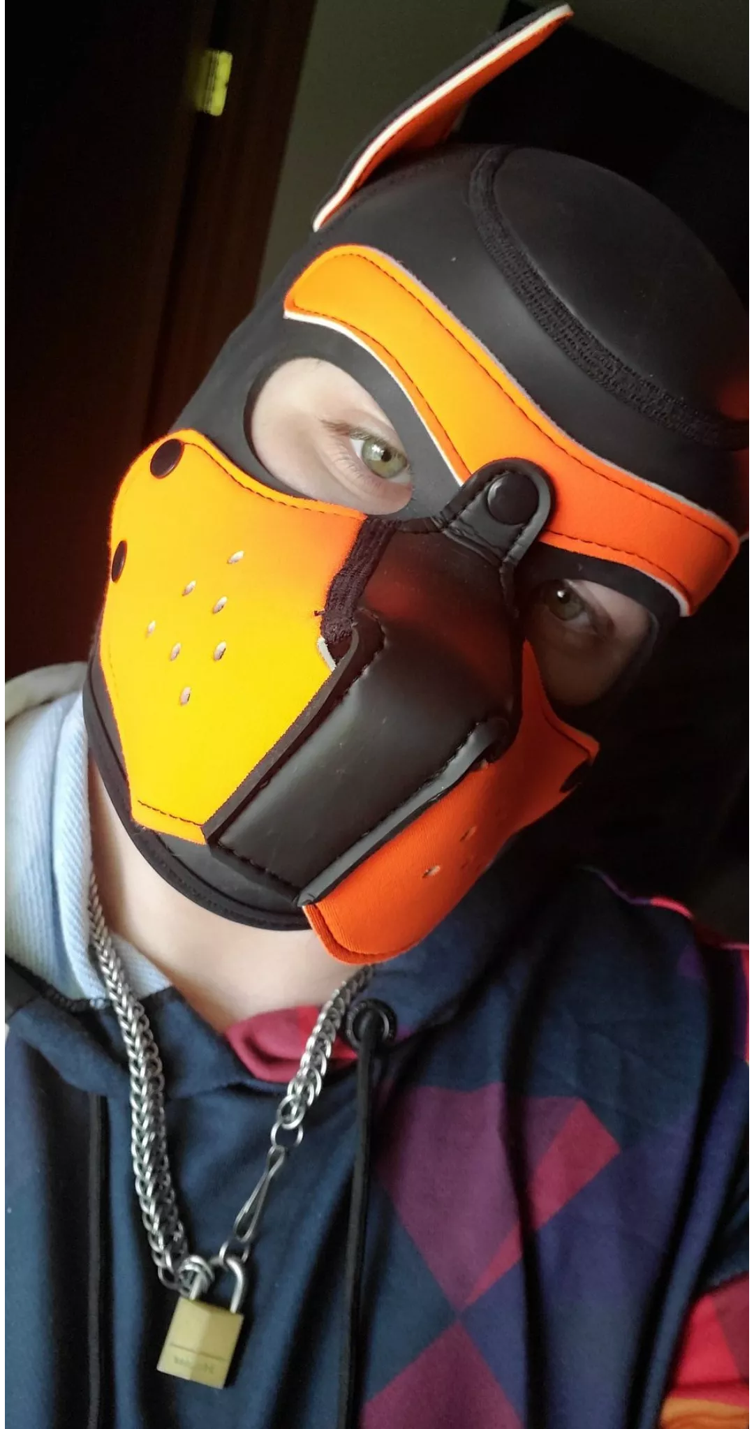 Merry Christmas, puppies!! Hope Santa Paws brought you everything you asked for and more! 🐾 Awroo!