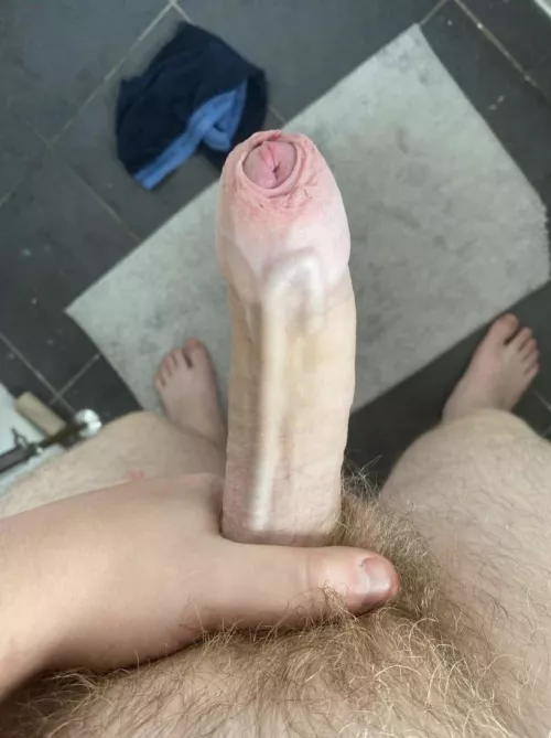 Merry Christmas! Would you like a new toy to play with?