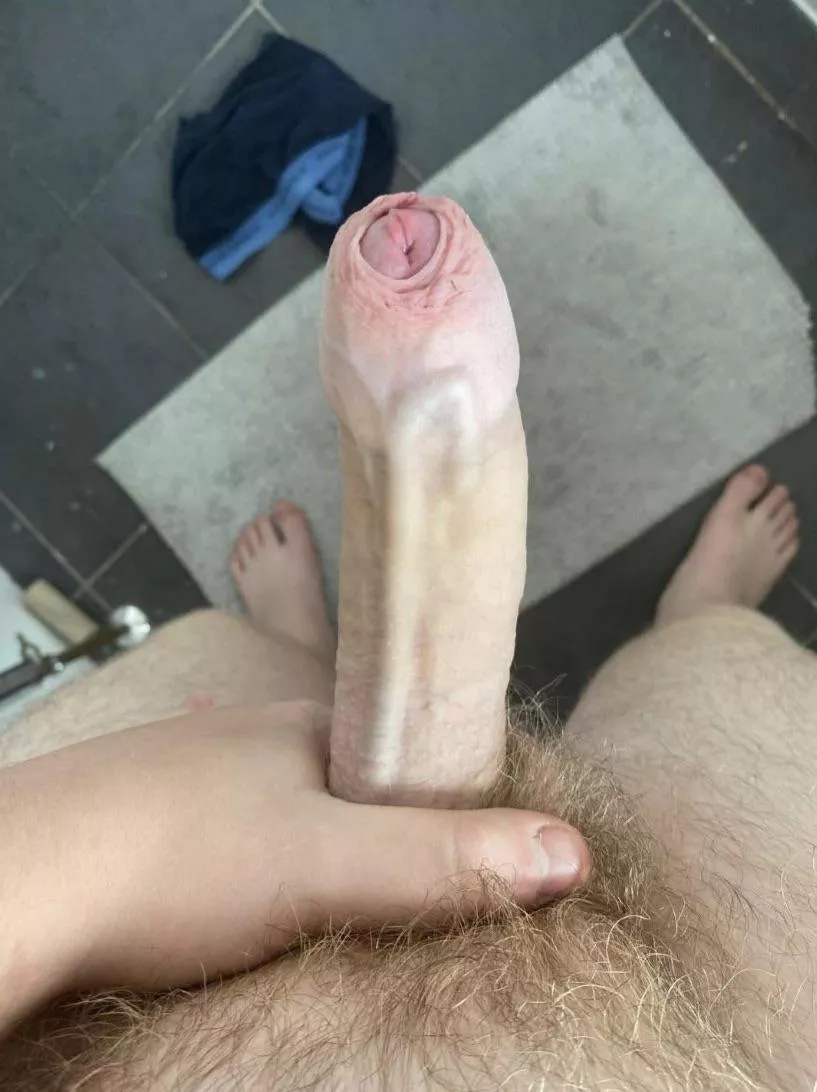 Merry Christmas! Would you like a new toy to play with?