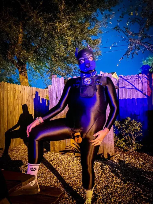 Mysterious locked puppy ready for adventure 😉