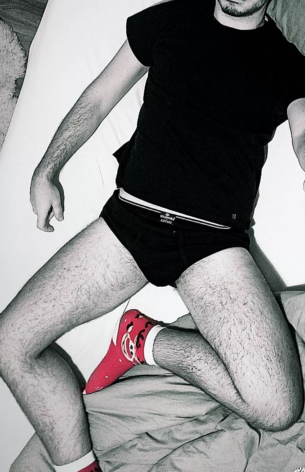 Rudolf the red nose reindeer!