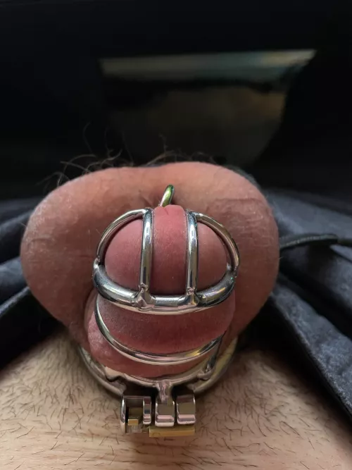 Sometimes, a bigger cage is more fun