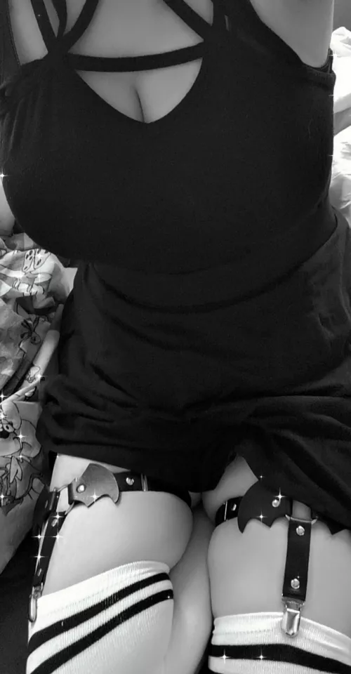 they so cute 🦇🦇