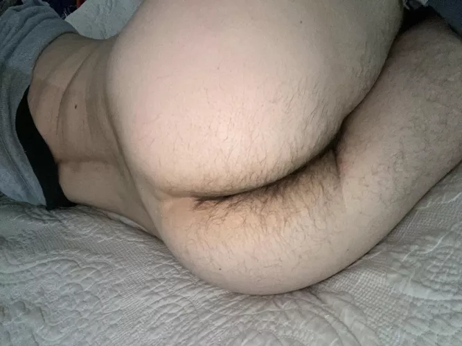 Who wants to plow my hairy ass?