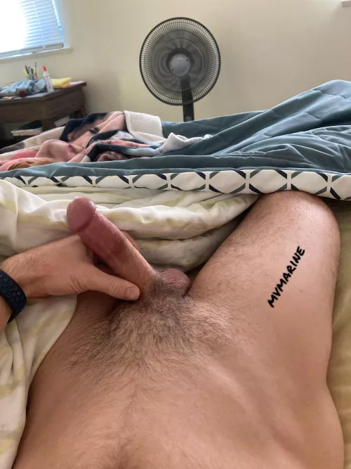 Wife left the bed. Gotta show off.