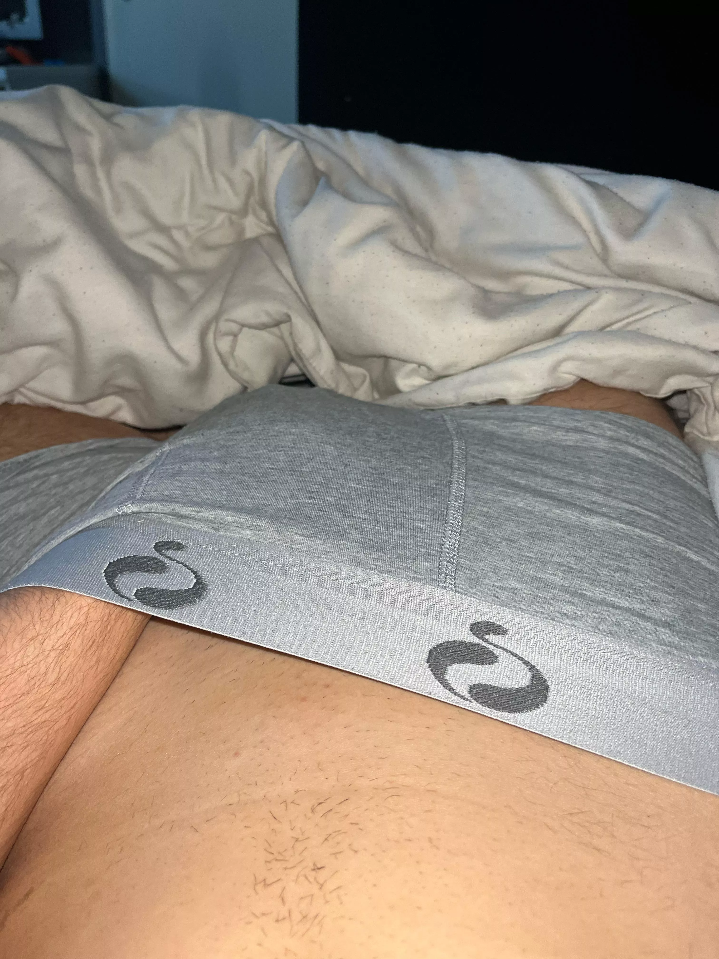 19 male netherlands dm only dutchies