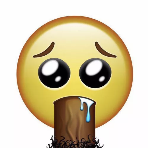 Anyone in the the GL/Chicago Area??