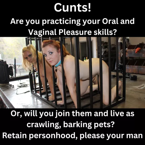 As Petgirl training kennels opened across the empire, the threat of PetGirl status became a powerful motivator.