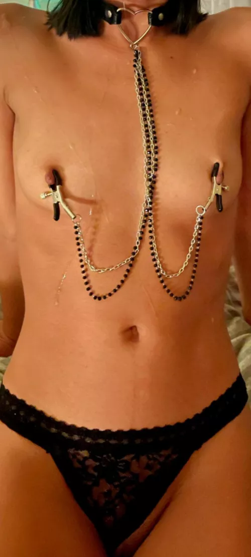 Daddy got me this collar for Christmas, but I think he really got it for him to enjoy