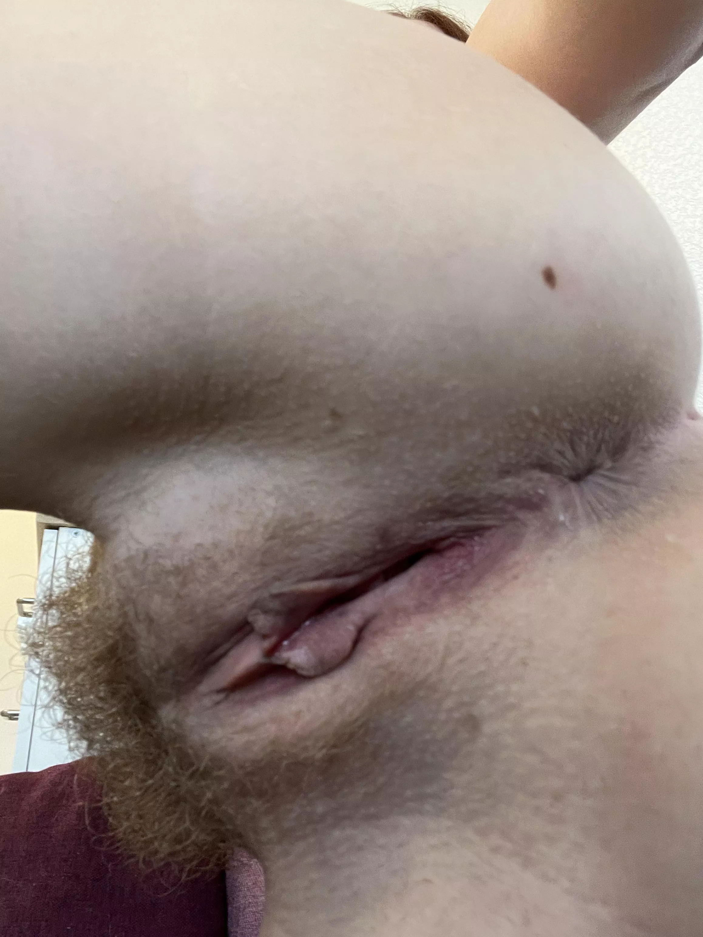 do you like the view of my bush from behind?