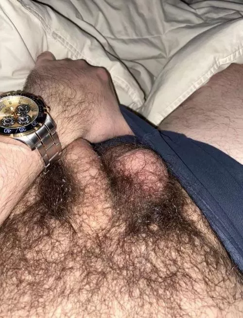 Hairy cock