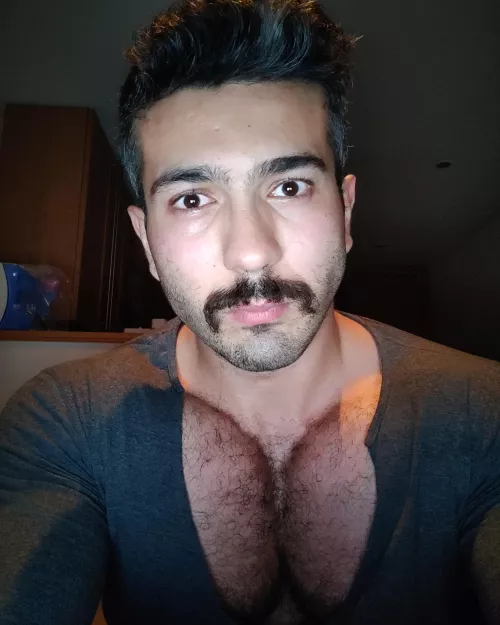 I thank you for the likes guys. Here is a typical Ottoman Turkish style Moustache